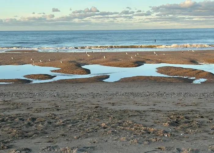 App Cosy Avec Balcon Et Accés