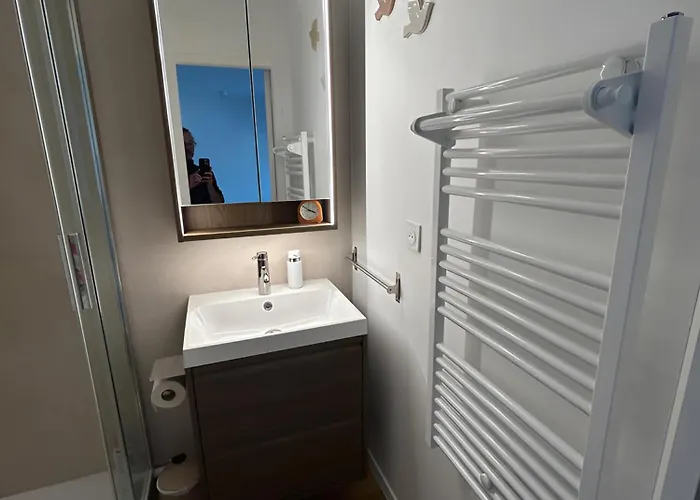 App Cosy Avec Balcon Et Acces * Cabourg